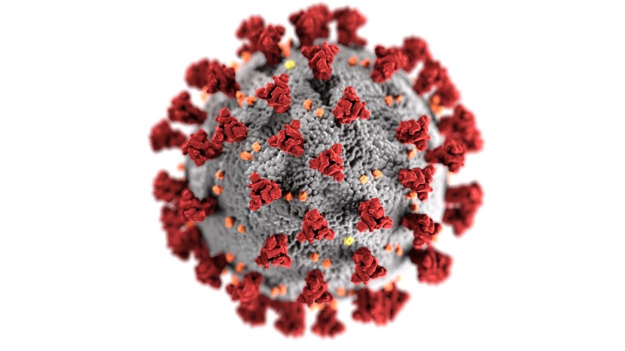 Coronavirus: Financial strategies for the self-employed
