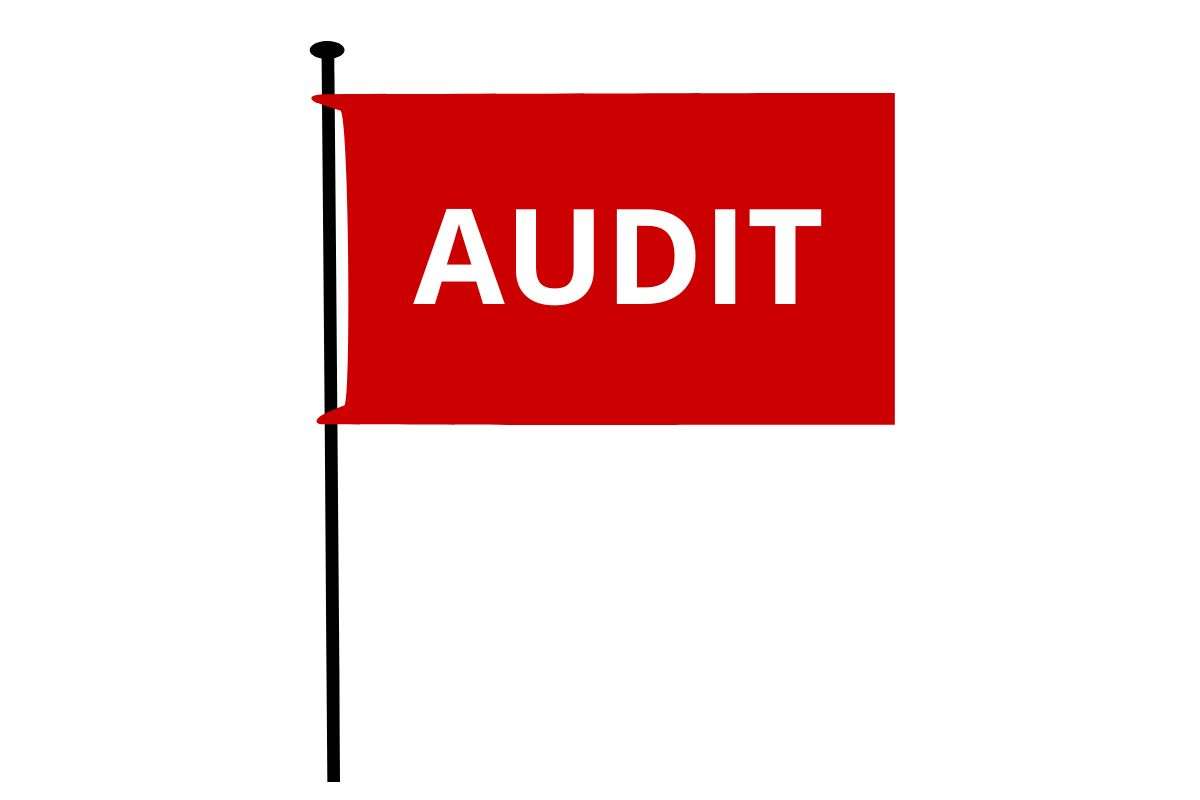 Top Audit Red Flags Businesses Shouldn’t Ignore